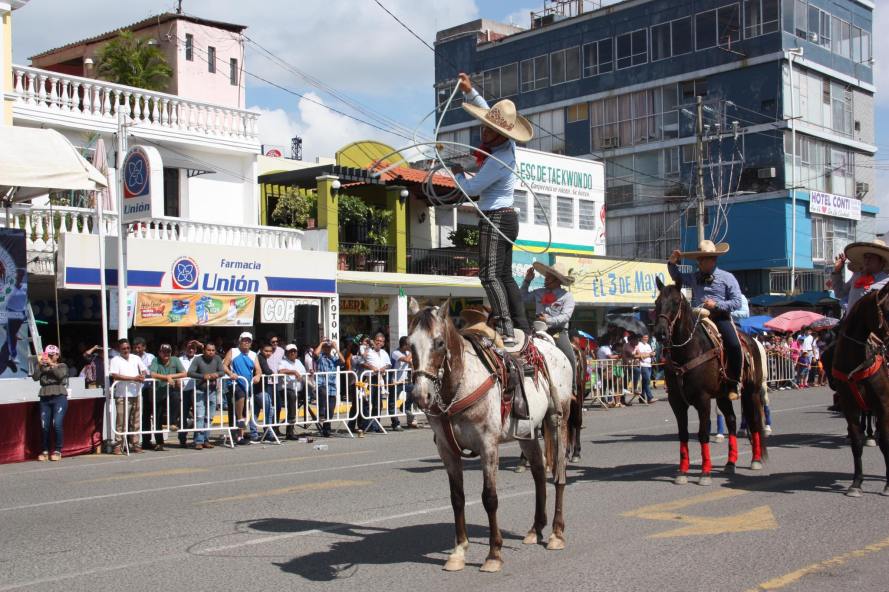 46511402_260125094859398_7374334941720477696_o