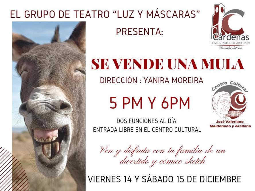 48366820_273322216873019_2906071281604493312_o